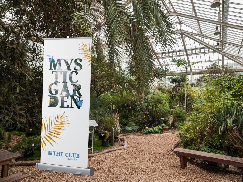 Mystic Garden Marlux